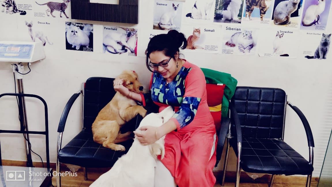 Dr. Pooja Hirulkar examining puppies during a clinic visit