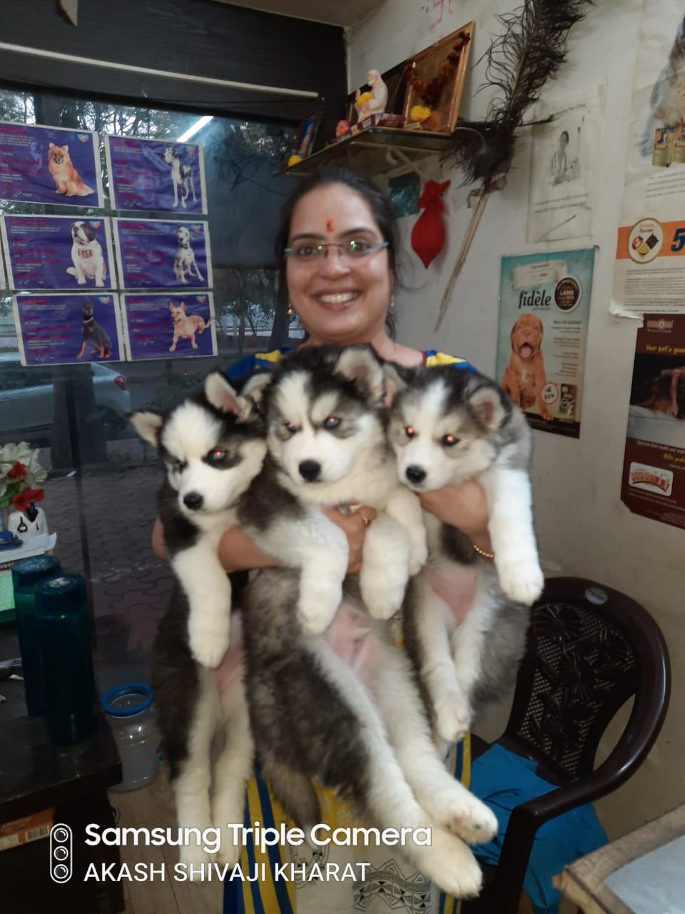 Dr. Pooja Hirulkar with puppies beside breed education charts at the clinic