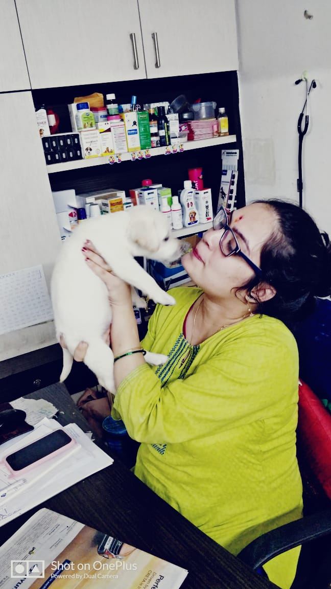 Dr. Pooja Hirulkar examining a puppy at the clinic