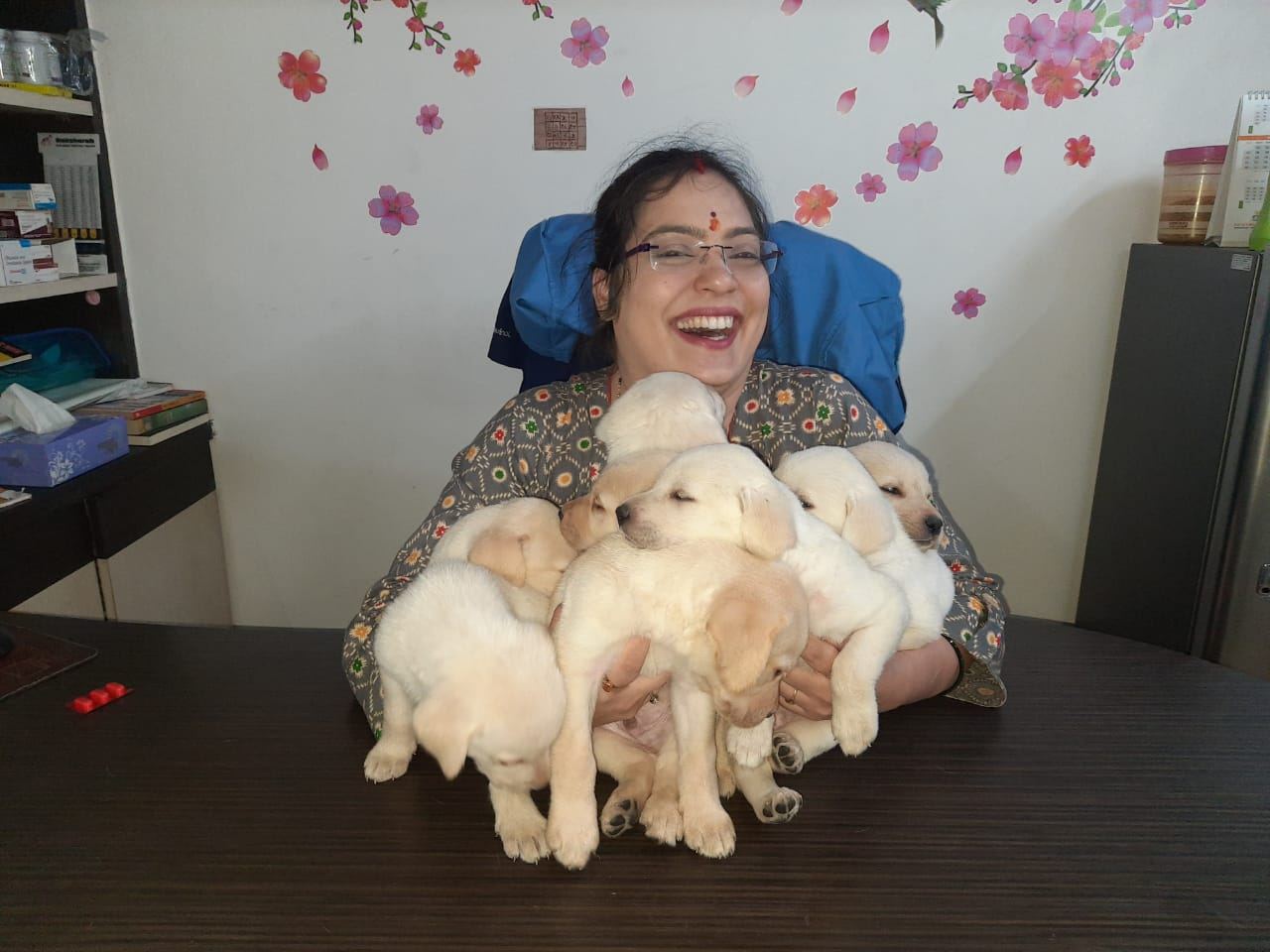 Dr. Pooja Hirulkar holding a litter of Labrador puppies