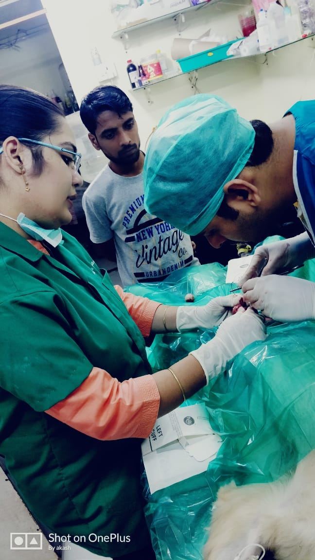 Dr. Pooja Hirulkar assisting during a surgical procedure
